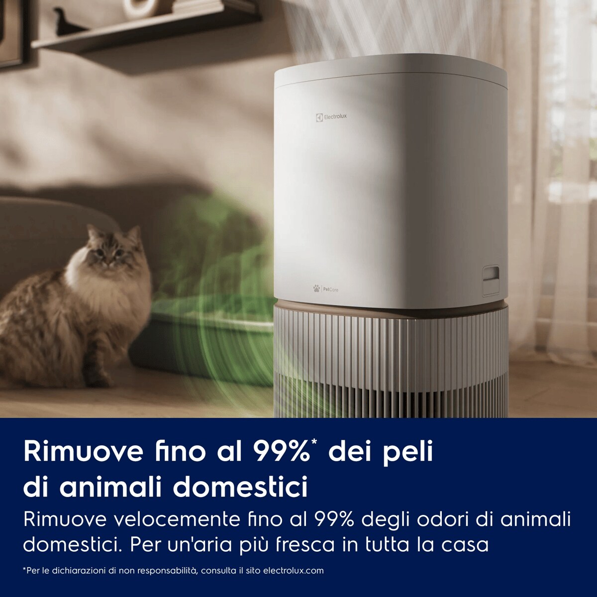 Rimuove fino al 99%* dei peli di animali domestici Rimuove velocemente fino al 99% degli odori di animali domestici. Per un'aria più fresca in tutta la casa.    *Per le dichiarazioni di non responsabilità, consulta il sito electrolux.com